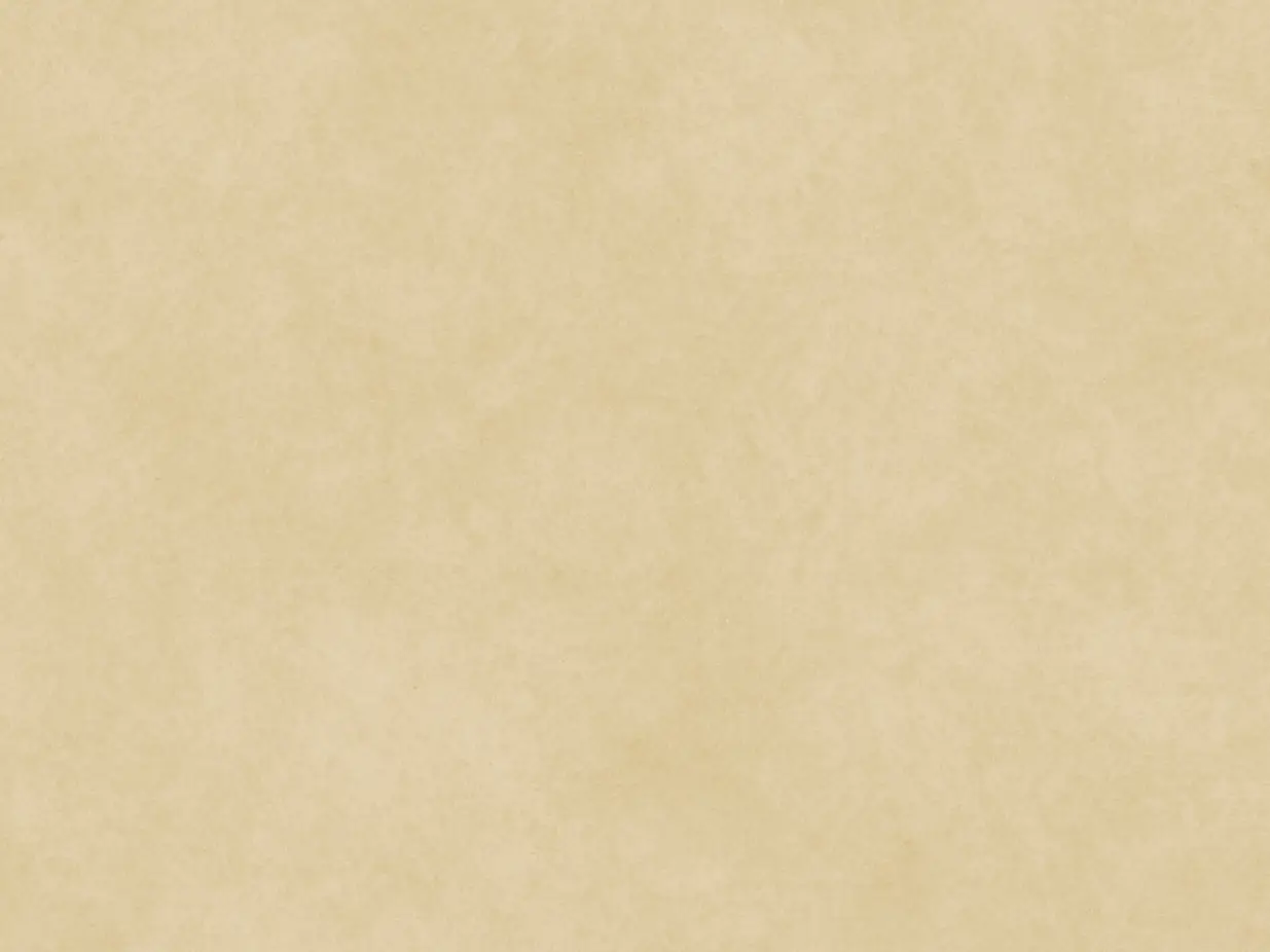 microcemento verde oliva